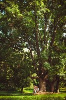 Семейная фотография